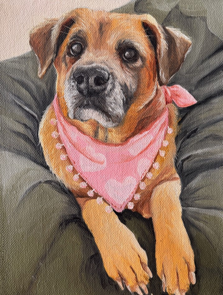 RETRATO MASCOTAS