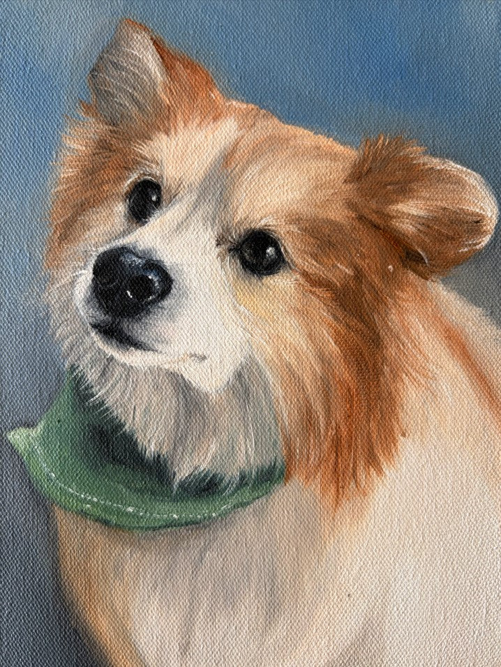 RETRATO MASCOTAS