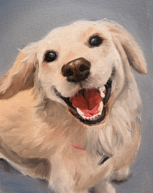 RETRATO MASCOTAS
